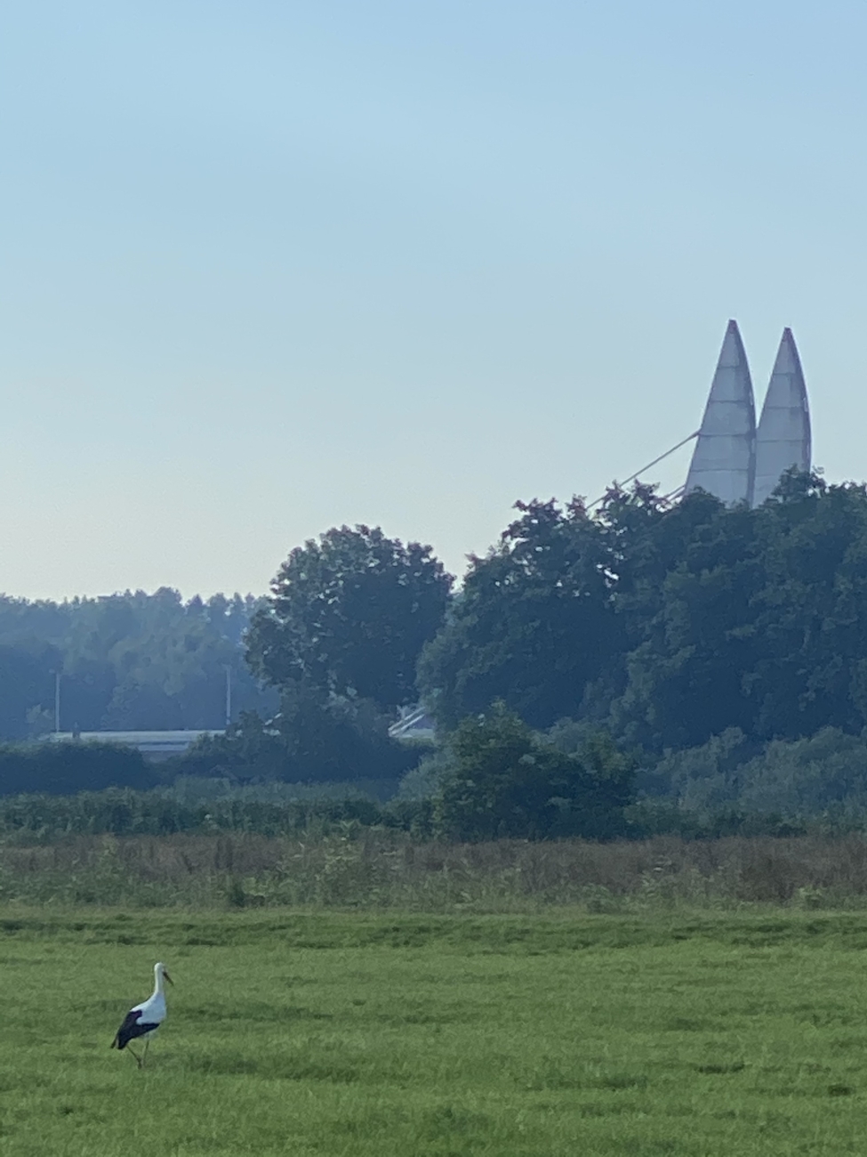Kind op komst!