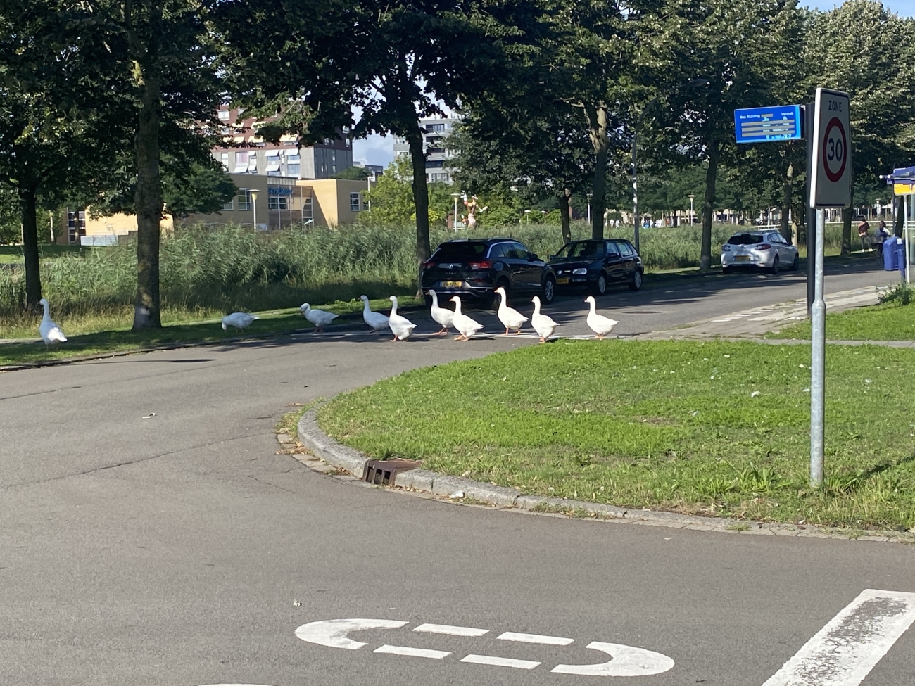 Overstekend wild