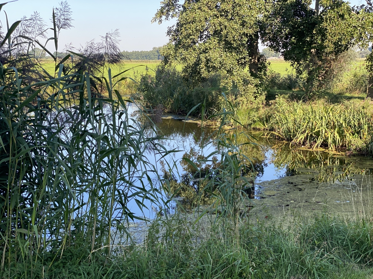Schilderachtig