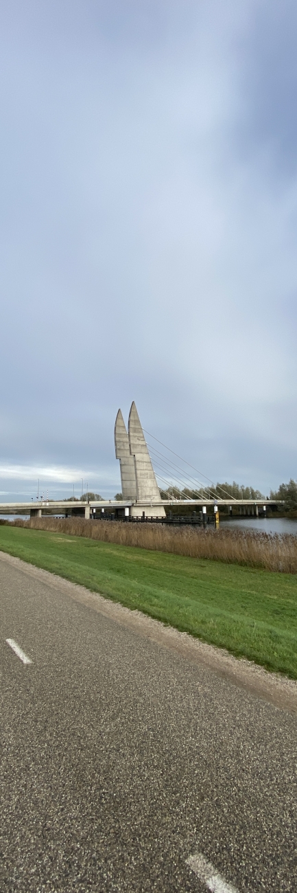 The bridge