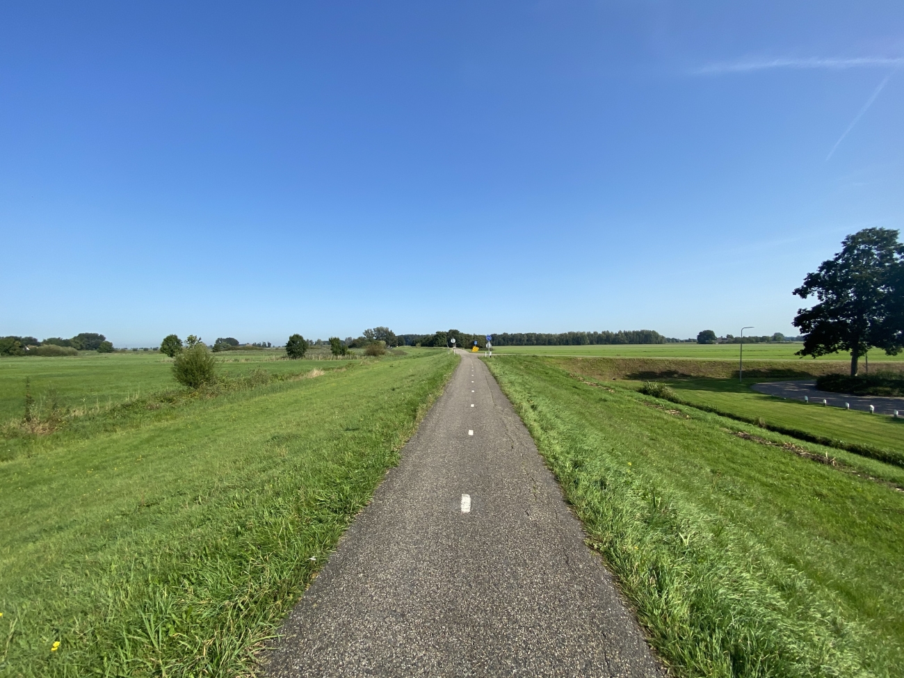 Volg de strepen